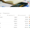 Debt & Budget Tracker | Notion Finance Template
